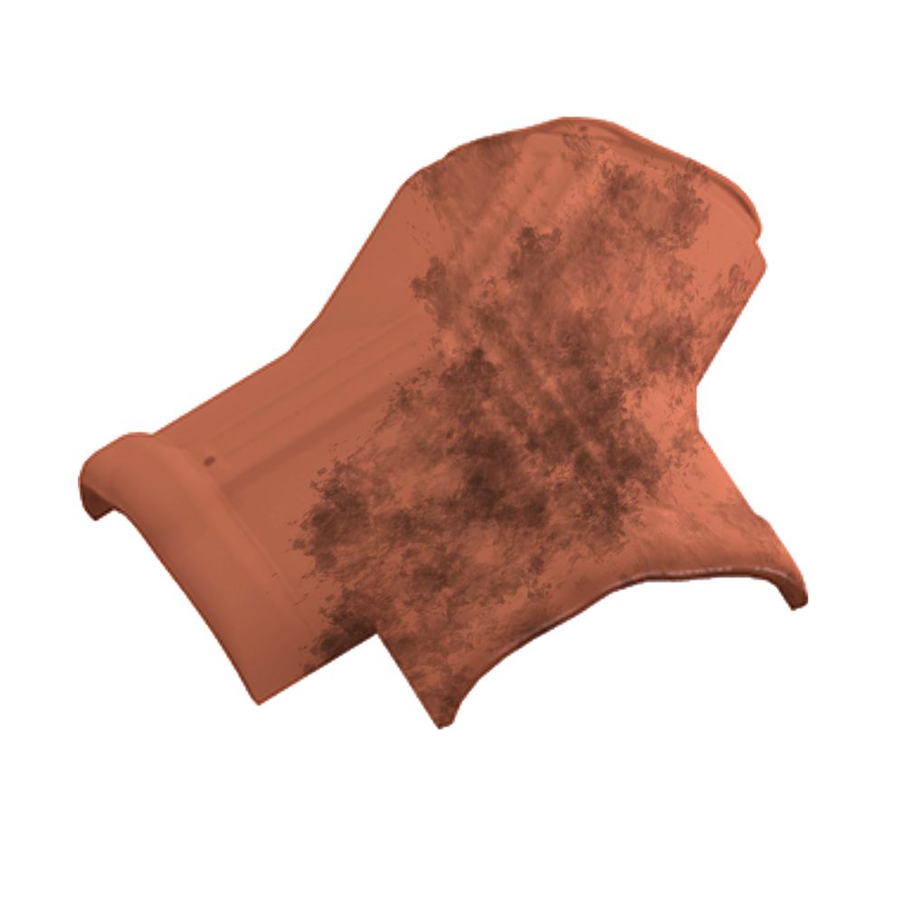 Pz 3 Vías TB-12 Centenaria Tierra