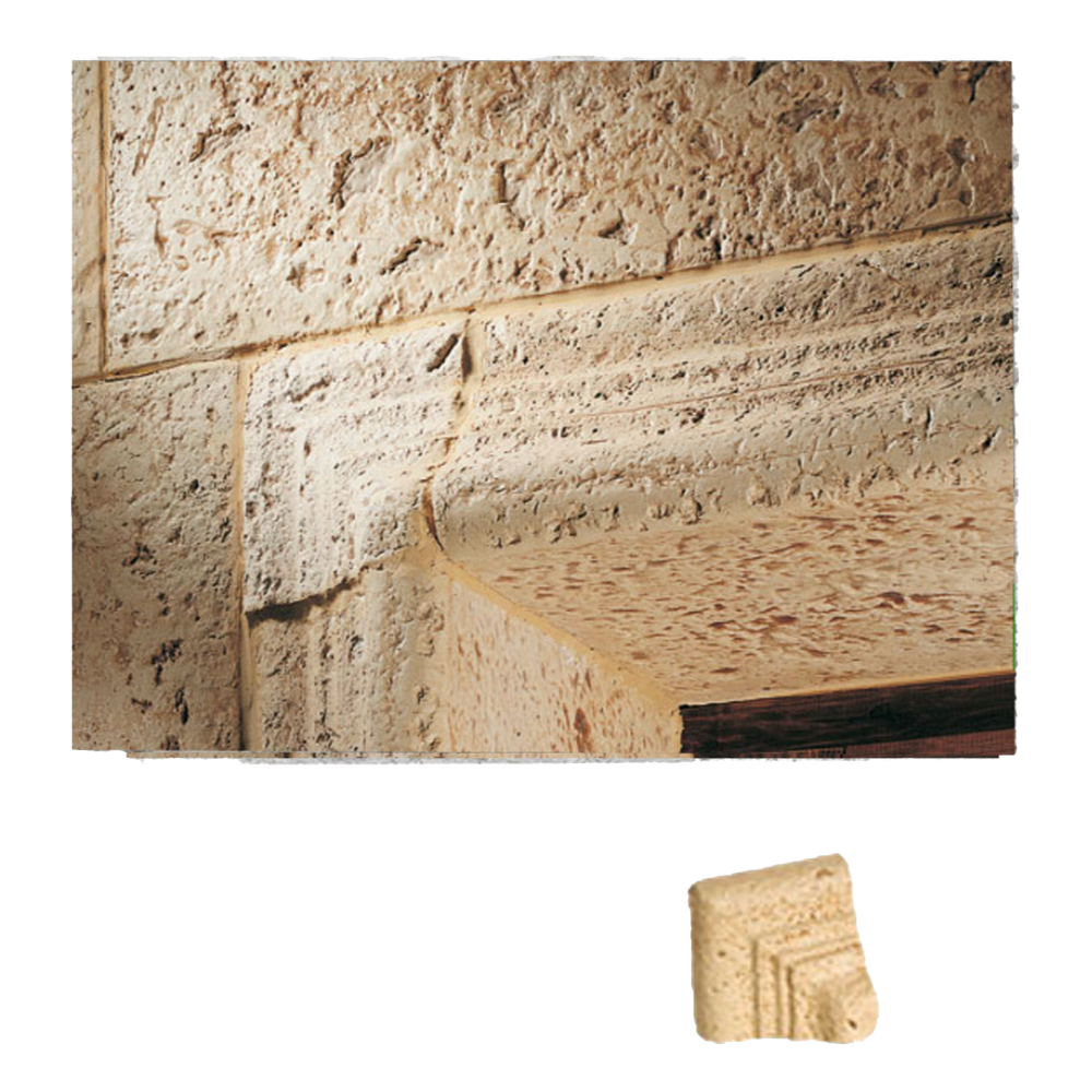 Taco Salamanca 8x14x14