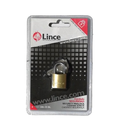 [CERRA-P06] Candado 300 