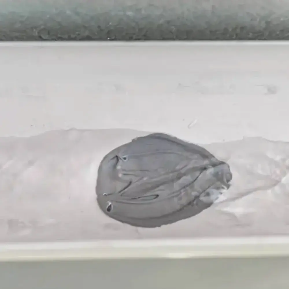 AguaStop Impermeabilizante Masilla Gris 1 Kg Ref. 902801.webp
