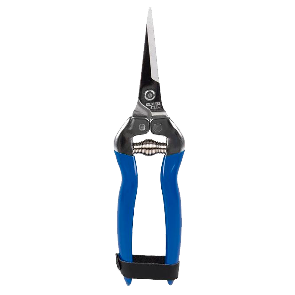 Tijera de Recolección Recta Inox 185 mm Ref. 90010609