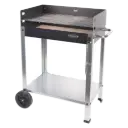 Barbacoa de Carbon con Ladrillo Refractario Ref. 43001520