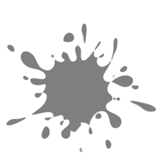 Color de la Pintura: R.4520 Plata