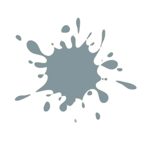 Color de la Pintura: R.2900 Gris Plata