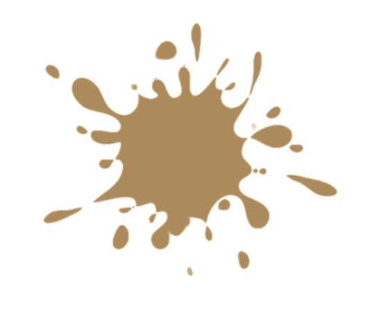 Color del Spray: R.543 Gamuza