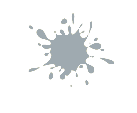 Color de la Pintura: R.509 Gris Perla