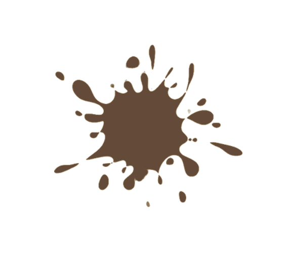 Color de la Pintura: R.517 Pardo