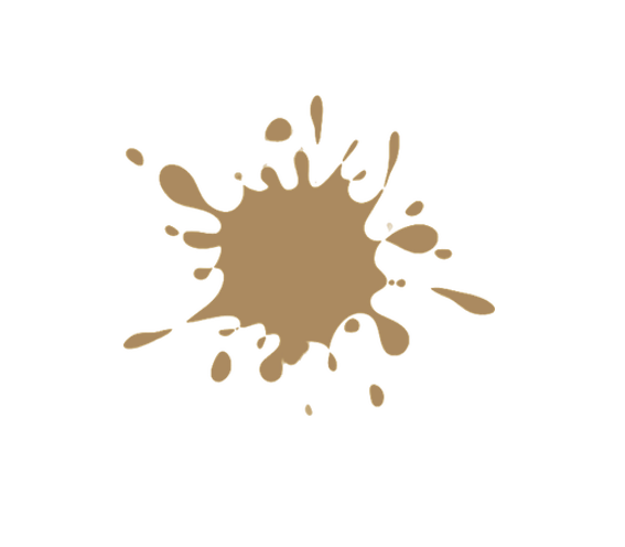 Color de la Pintura: R.543 Gamuza