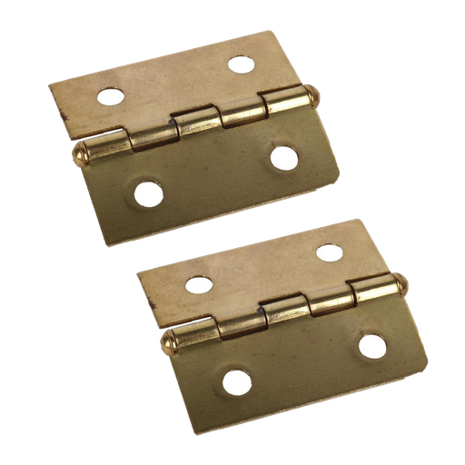 [COFAN-P858] Bisagra de Hierro Latonado (2 ud)